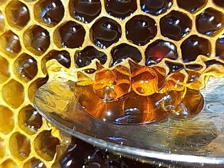 Honey-House “Kastrioti” Lägenhet Përmet Exteriör bild