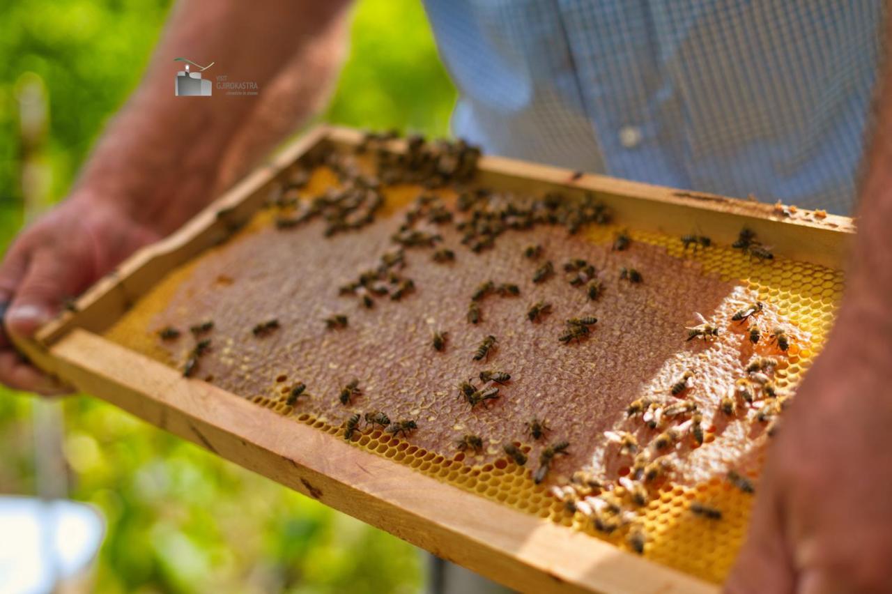 Honey-House “Kastrioti” Lägenhet Përmet Exteriör bild