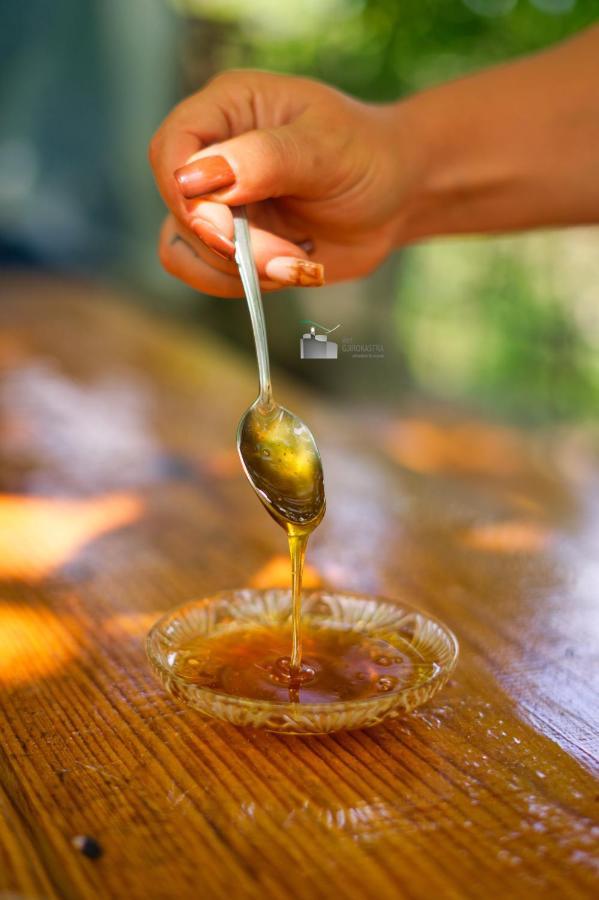 Honey-House “Kastrioti” Lägenhet Përmet Exteriör bild