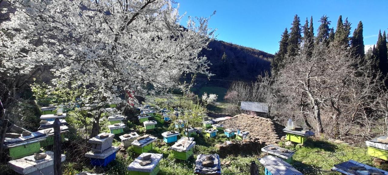 Honey-House “Kastrioti” Lägenhet Përmet Exteriör bild