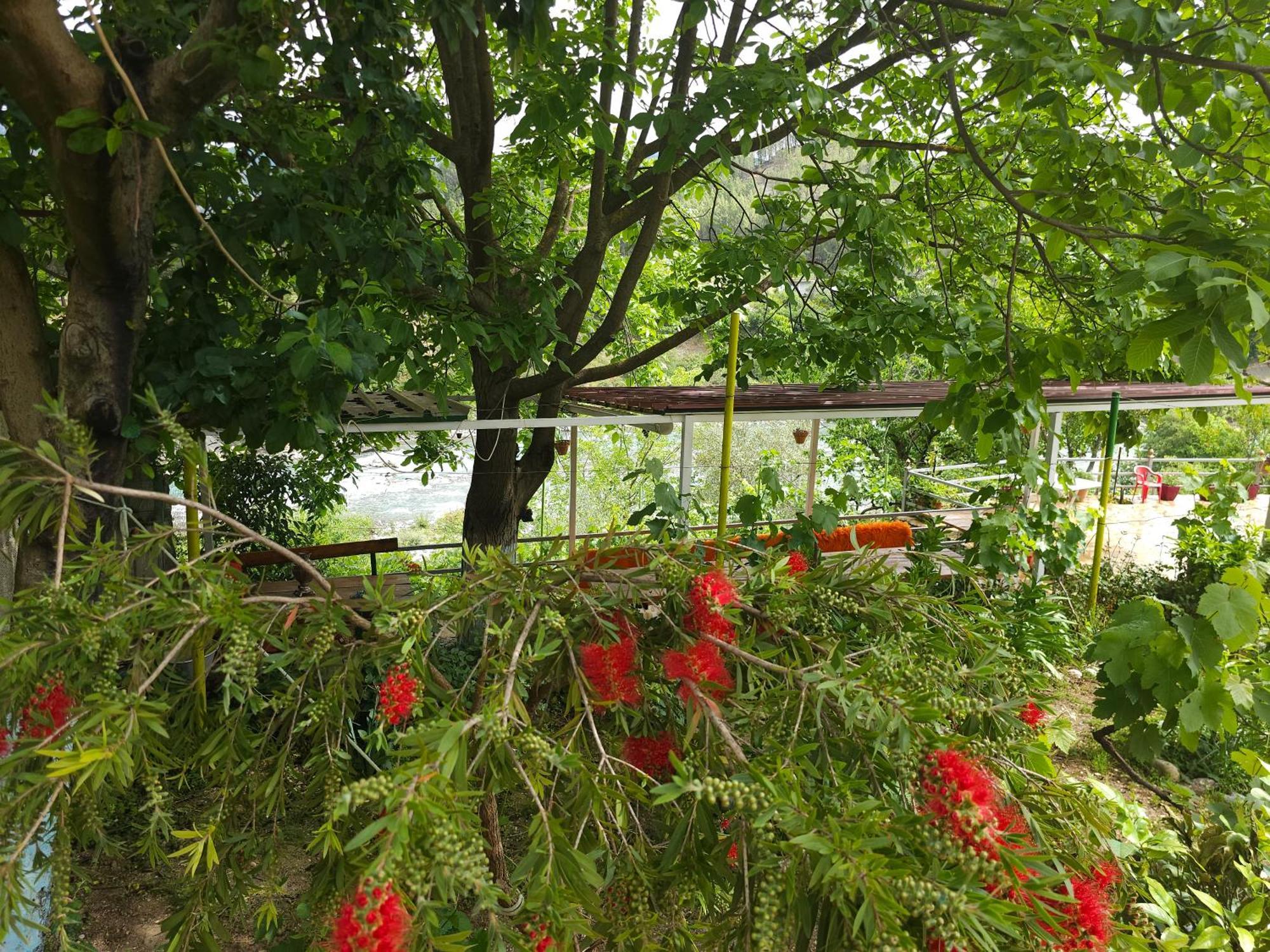 Honey-House “Kastrioti” Lägenhet Përmet Rum bild